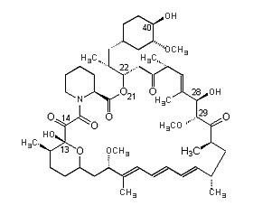 Rapamycin (Sirolimus)