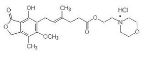 Mycophenolate Mofetil HCl